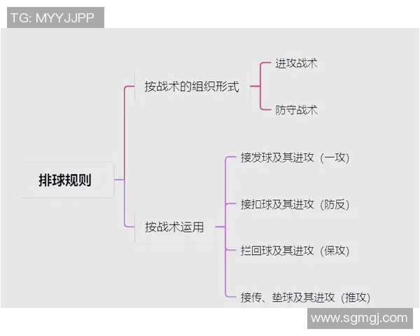 北京排球队中路突破战术解析与实战应用探讨