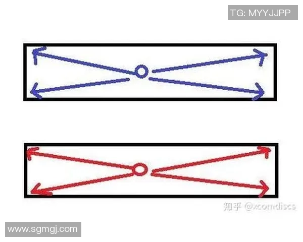 武汉飞盘队区域防守创新探索与战术分析全景解读 武汉飞盘队区域防守创新探索与战术分析全景解读