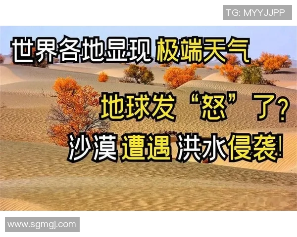 全球气候变化加剧 各国应对措施纷纷出台应对极端天气挑战 全球气候变化加剧 各国应对措施纷纷出台应对极端天气挑战