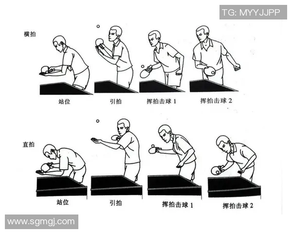 杭州乒乓球队的节奏分析与未来发展趋势探讨