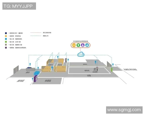 最新智能健身器材功能解析及未来技术趋势