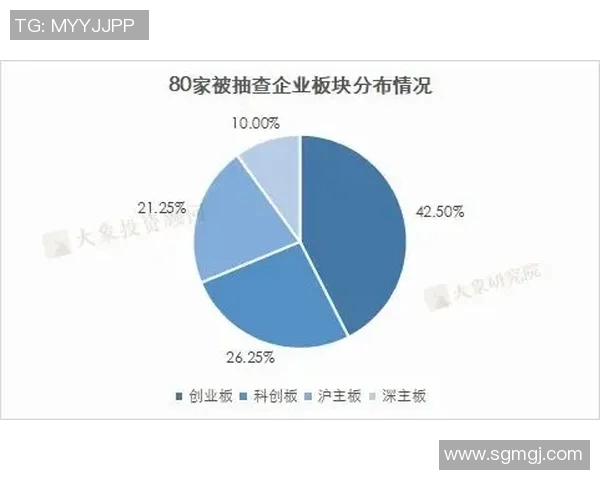 TES盯防策略分析：成功与失误的深度剖析与反思