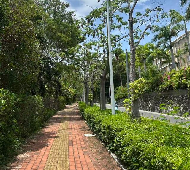 威尼斯27岁女子三亚旅游被不明物咬伤身亡 家眷再发声：本地估计5天给回答(图5)